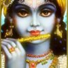 Online Supreme Krishna Homam