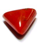Red Coral — Lal Munga Gemstone