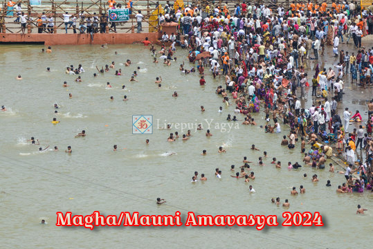 Magha/Mauni Amavasya 2024: Significance, Rituals & Spiritual Importance