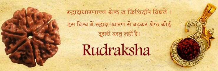 Buy Authentic Rudraksha  Beads at low cost