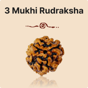 3 Mukhi Rudraksha bead – Natural, and Energized for Spiritual & Personal Growth