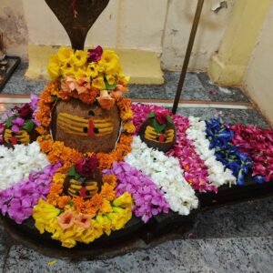 Shiva Sahasranamavali Bilva Patra Archana Puja