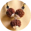 Buy Genuine Rudraksha Products