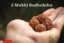 5 Mukhi Rudraksha Benefits