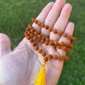 5 Mukhi Rudraksha Mala – Natural, Energized & Ideal for Meditation & Spiritual Growth