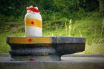 Online Shiva Rudra Abhishekam Puja