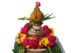 Special Puja Services